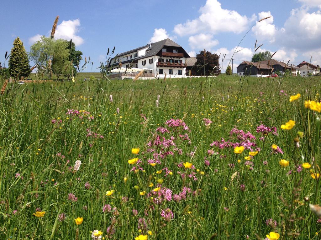 Forellenwirt Guest house
